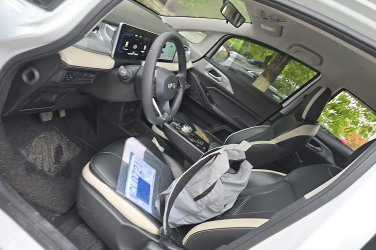 Used Geometry E Firefly 2023 320KM Cute & Handsome Tiger 5 Seats Left Front Seat