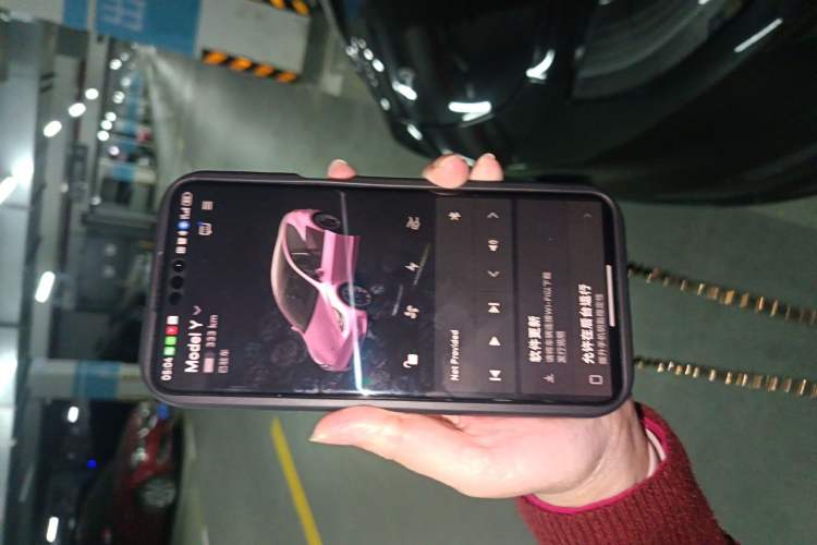 Used Tesla Model Y 2021 Long-Range All-Wheel-Drive Version