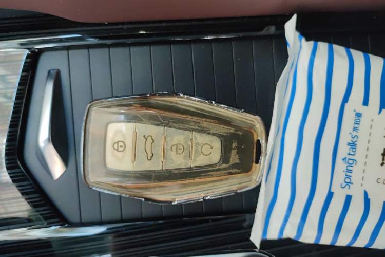 Used Geely Auto Monjaro L 2021 2.0TD DCT EVO Two-Wheel Drive Prestige Version