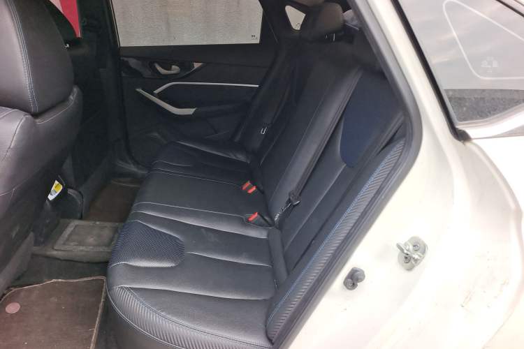 Used Venucia D60EV 2019 High-Range Comfort Edition
