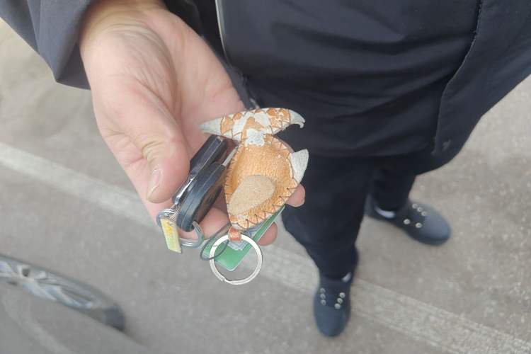 Used BYD Qin PLUS 2021 EV 500KM Luxury Model
