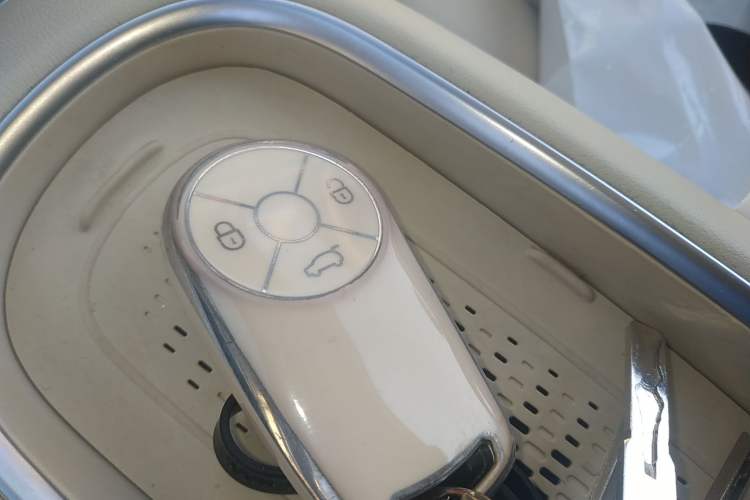 Used ORA Good Cat 2023 401 km Standard Range Luxury Version Lithium Iron Phosphate