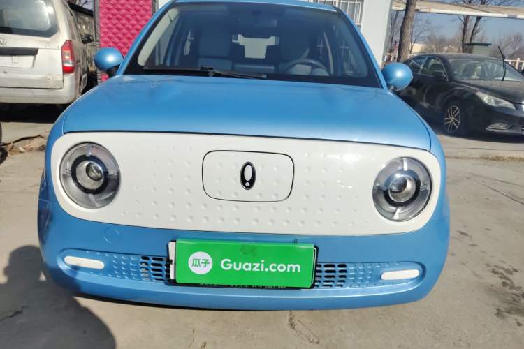 Used ORA Black Cat 2022 Updated Version 301 km Cute Pet Edition Lithium Iron Phosphate