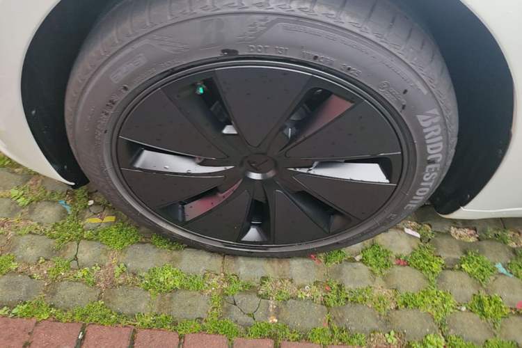 Used Tesla Model 3 2025 Model Long-Range Rear-Wheel-Drive Version
