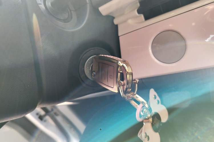 Used Qiyuan Lumin 2025 205 km Xiangqin Version