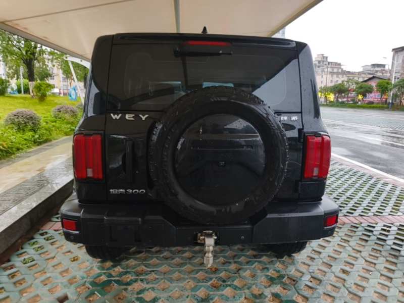 Used Tank 300 2021 Off-Road Edition 2.0T Conqueror — 5