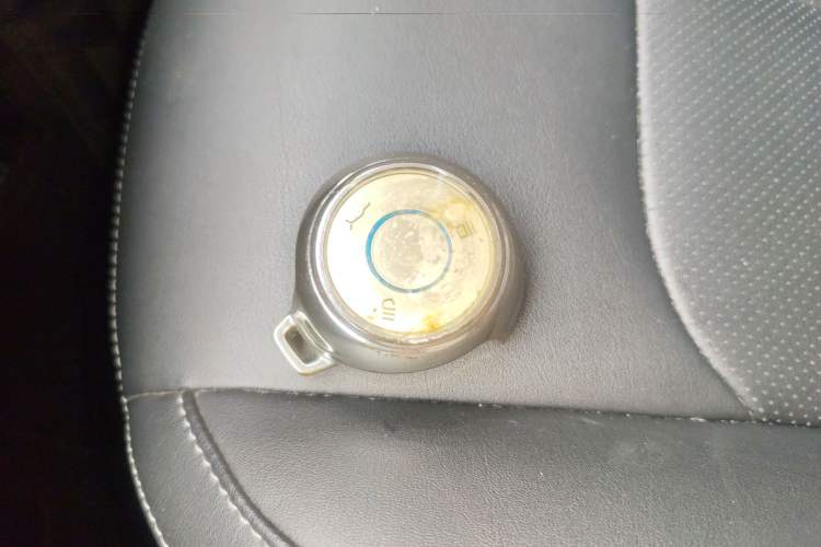 Used NETA V 2022 Long-Range Industry Custom Edition