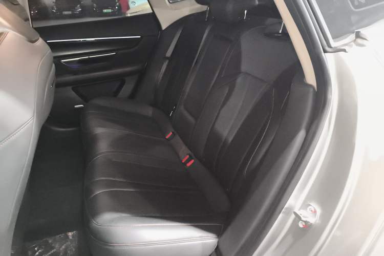 Used XPeng P7 2020 670N