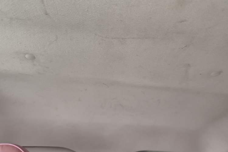 Used BYD F0 2015 1.0L Joyful Model Headliner