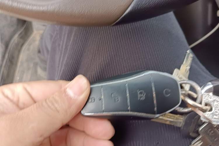 Used BYD Qin PLUS 2024 HONOR Edition DM-i 55KM Leading Model