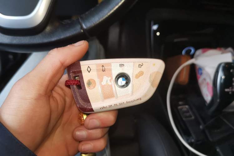 Used BMW X2 (Import) 2019 sDrive20i M Sport Package China VI Emission Standard