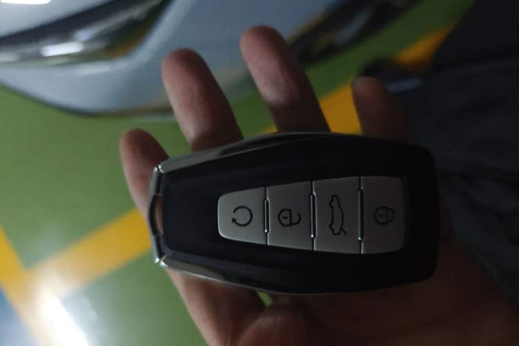 Used Geely Auto Emgrand L HiP 2024 Champion Edition 1.5TD-DHT Pro 100KM Superior Model
