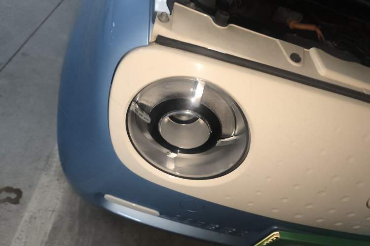 Used ORA Black Cat 2021 301km Cute Pet Edition