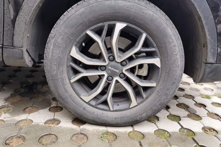 Used Haval H6 2021 National Trend Edition 1.5T Automatic Urban Version
