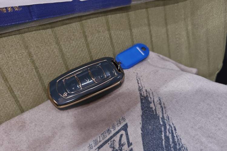 Used Geely Galaxy Panda 2024 Panda Mini 200km Endurance Bear