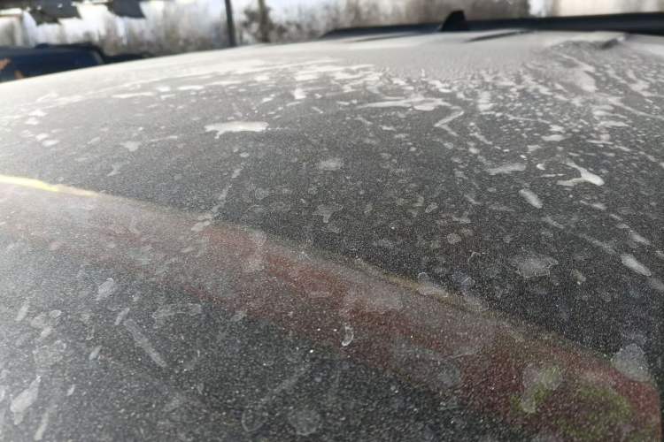 Used Great Wall Poer 2023 2.0T Commercial Version Automatic Diesel 4x4 Elite Long-Box GW4D20M