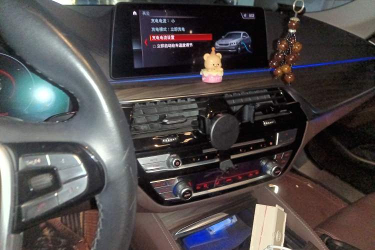 Used BMW 5 Series New Energy 2019 530Le Luxury Package