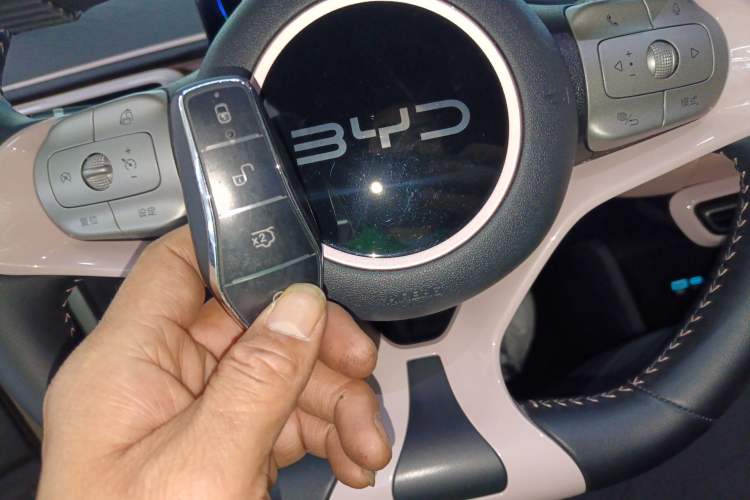 Used BYD Seagull 2024 Honor Edition 305km Freedom Version
