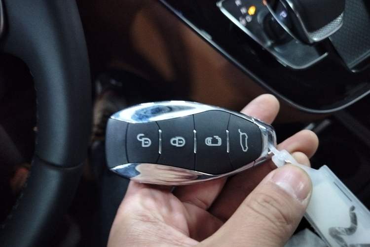 Used Hongqi HQ9 2023 2.0T Smart Connect Flagship Edition
