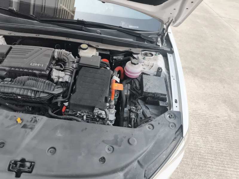Used BYD Qin PLUS 2024 HONOR Edition DM-i 55KM Leading Model — 23