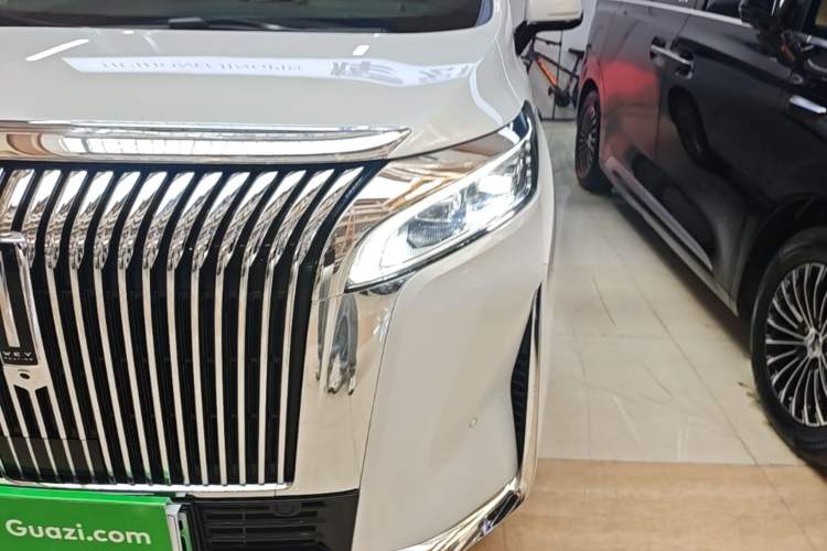 Used Wey Gaoshan 2025 Four-Wheel Drive Alpine 8 Left Front Headlight