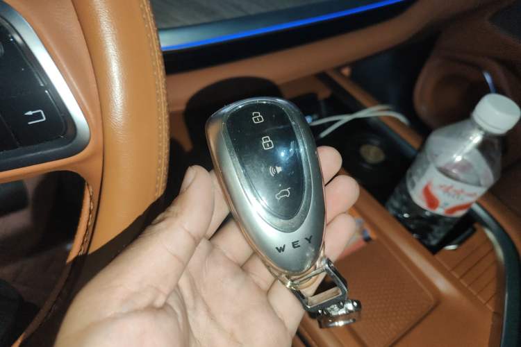 Used Wey Lanshan 2023 Four-Wheel Drive Ultra-Long Range Version