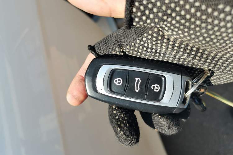 Used Geely Auto Emgrand New Energy 2018 EV450 Ambition Model
