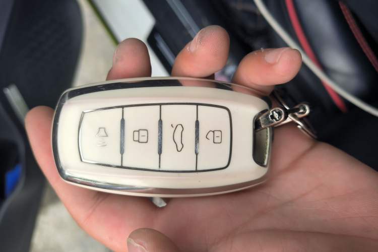 Used Haval LHERY 2022 Jingxiang Edition 1.5T Brass Rabbit
