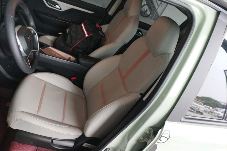 Used SOL E10X 2022 Flower Fairy Design Four-Leaf Clover
