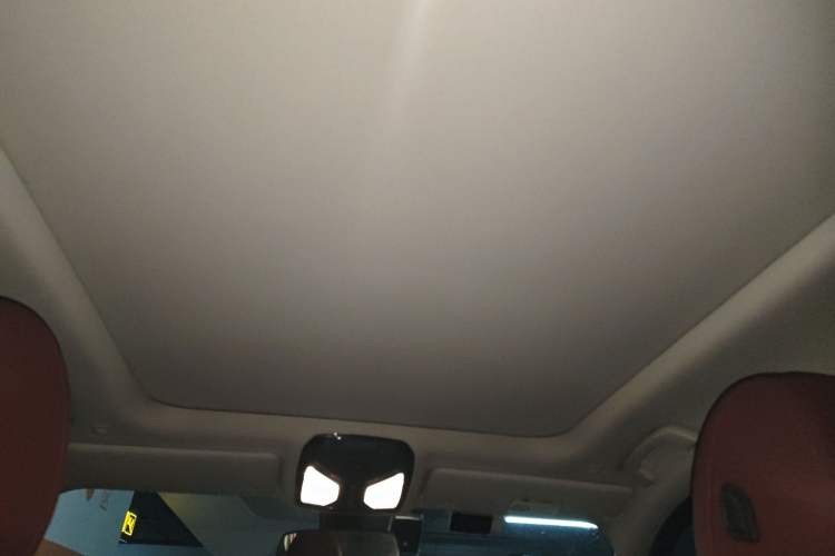 Used BMW 3 Series 2023 320Li M Sport Package Headliner