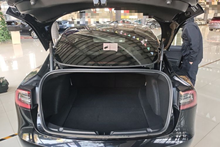 Used Tesla Model 3 2021 Performance High-Performance All-Wheel-Drive Version