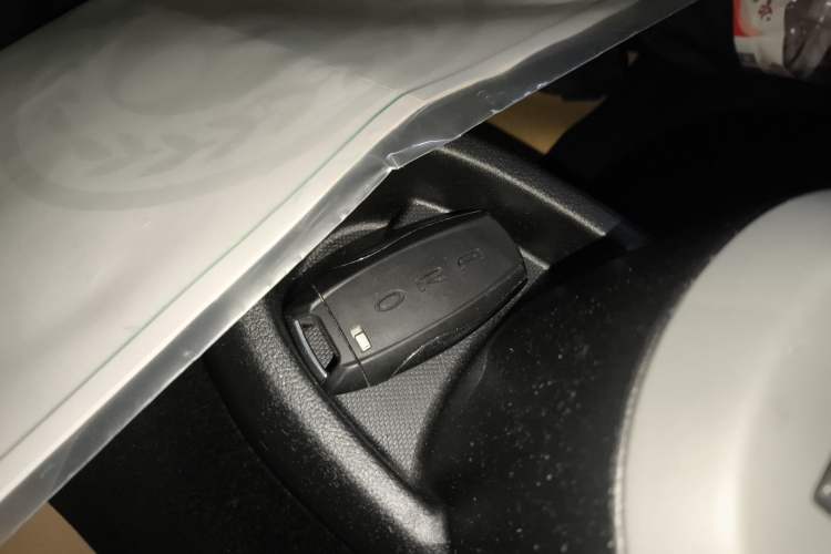 Used ORA Black Cat 2021 351 km Standard Version Vehicle Key