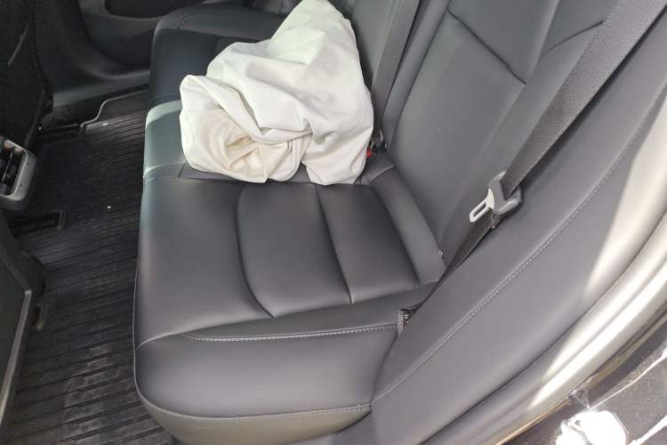 Used Tesla Model 3 2022 Rear-Wheel-Drive Version Left Rear Seat