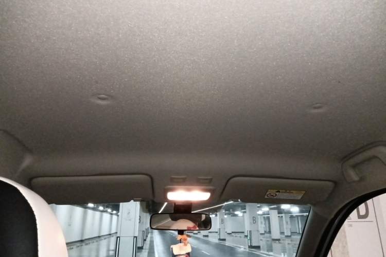 Used ORA Black Cat 2021 301 km Basic Version Headliner