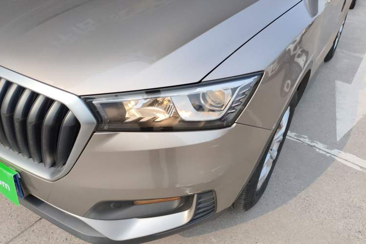 Used BORGWARD BX5 2017 20TGDI Automatic Two-Wheel Drive Pioneer Edition
