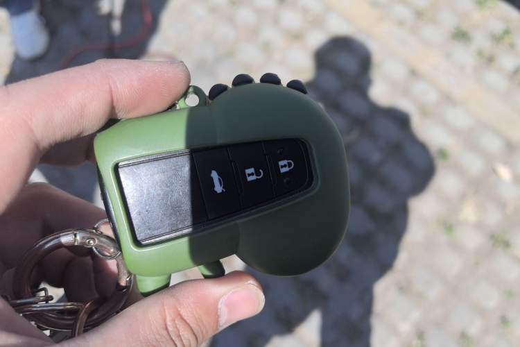 Used Toyota Corolla 2021 1.2T S-CVT Luxury Edition
