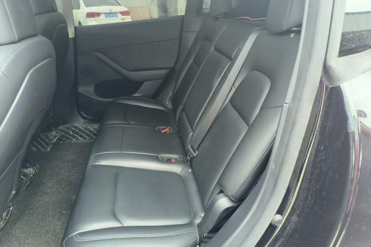 Used Tesla Model Y 2021 Standard Range Rear-Wheel Drive Version
