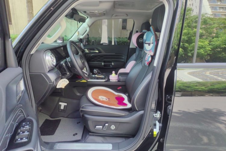 Used Tank 300 2024 2.0T Conqueror
