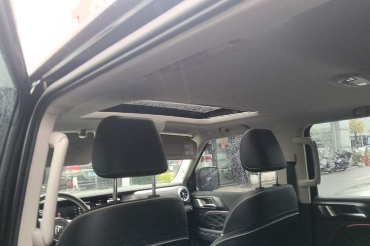 Used Tank 300 2024 2.0T Conqueror
