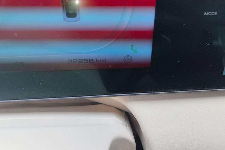 Used ORA Ballet Cat 2023 401 km Luxury Version Odometer Close Up