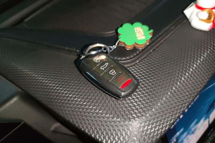 Used Haval DARGO 2021 1.5T DCT Two-Wheel Drive Labrador Edition