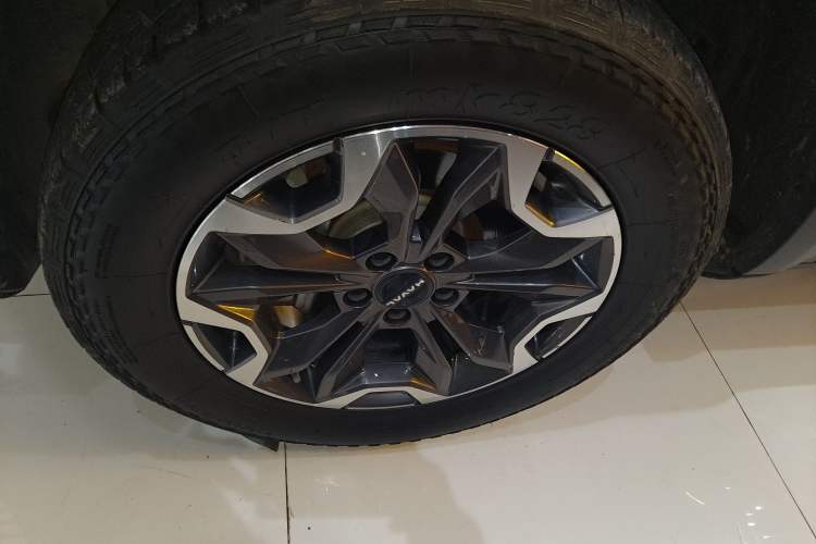 Used Haval DARGO 2024 2.0T DCT Chinese Rural Dog Edition