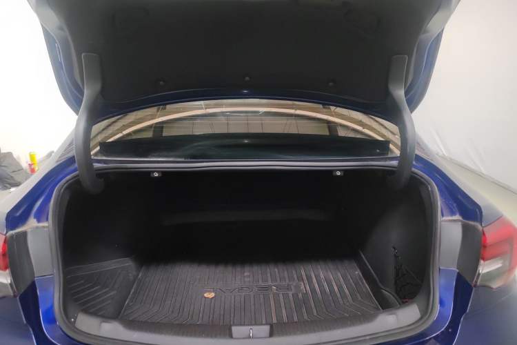 Used Buick Regal 2017 GS 28T Luxury Model
