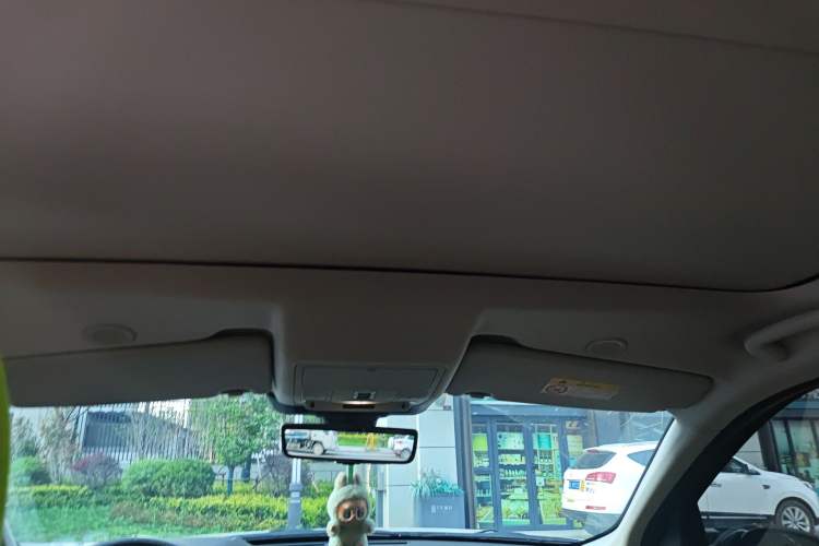 Used Land Rover Discovery Sport 2024 Luxury Custom Edition Headliner