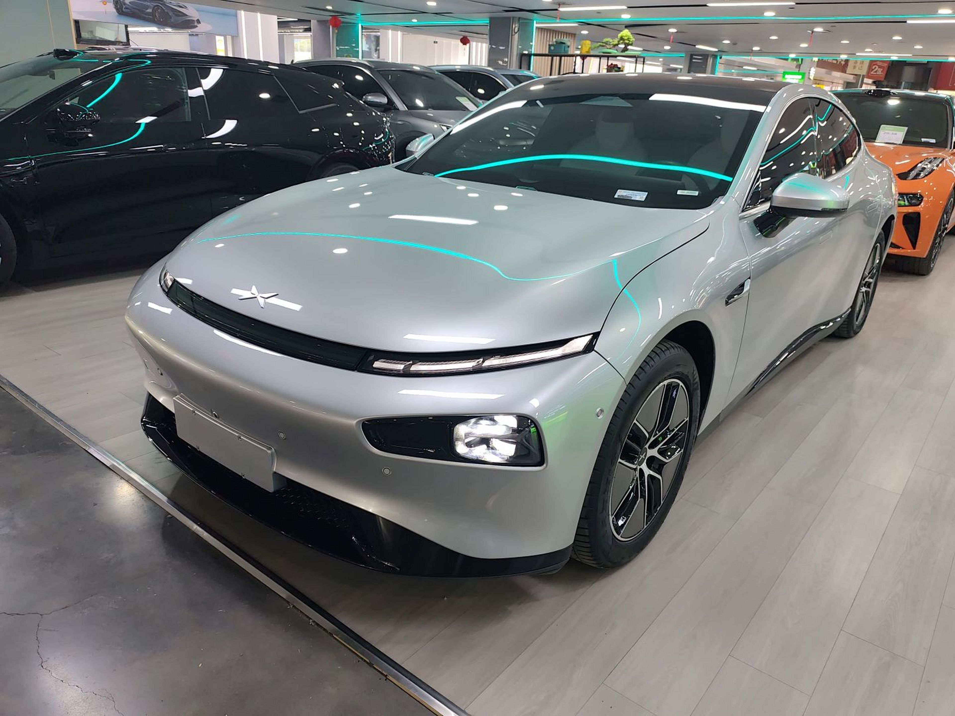 Parte inferior delantera