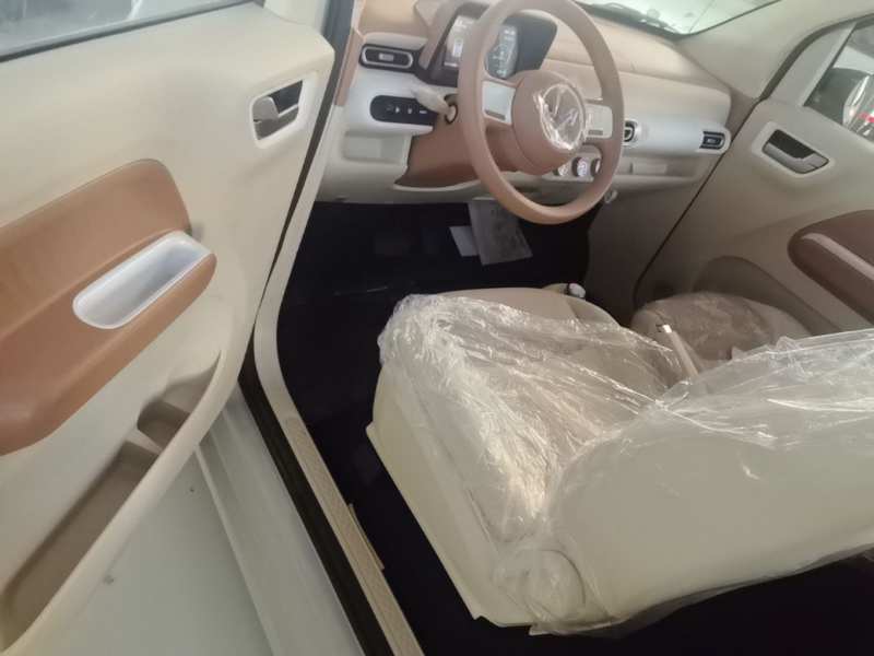 Used Wuling Hongguang MINIEV 2024 3rd Generation 215km Youth Edition — 14