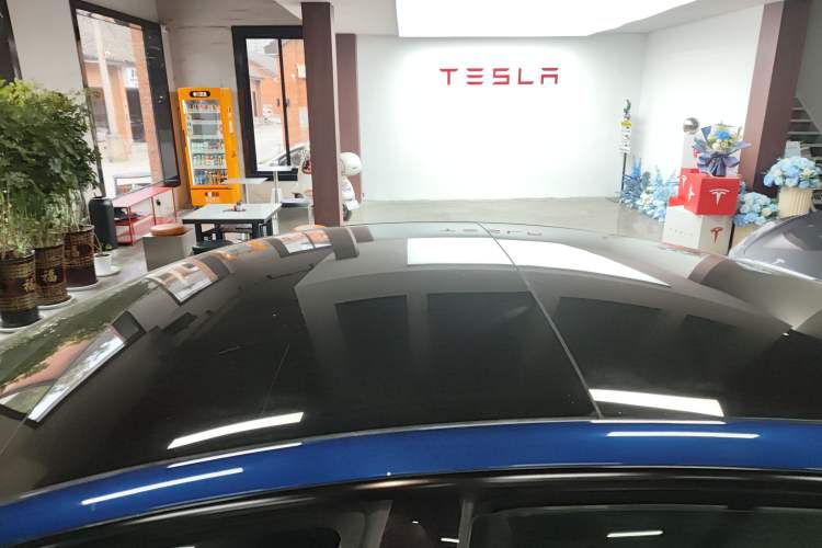 Used Tesla Model 3 2022 Rear-Wheel-Drive Version
