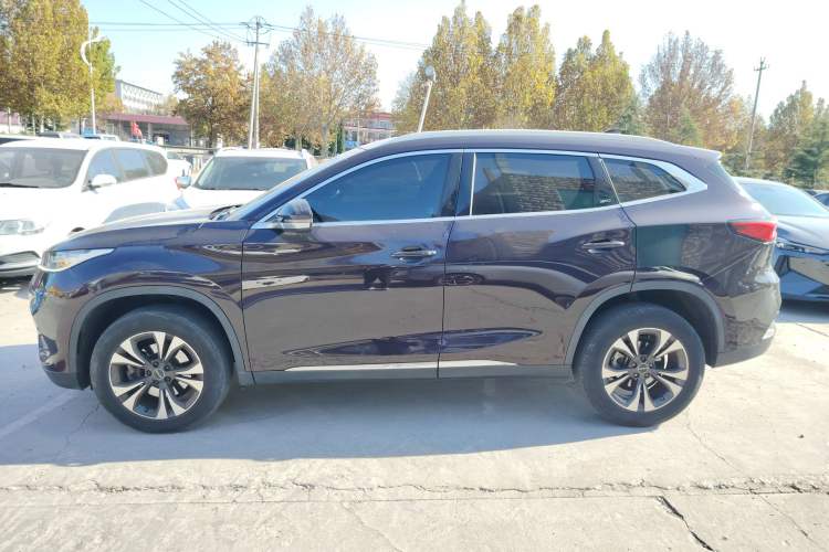 Used EXEED TX 2019 1.6T Four-Wheel Drive Platinum Edition
