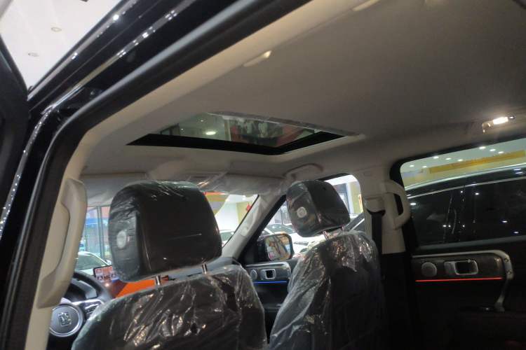 Used Tank 400 2026 Model—2.0T Gasoline Version