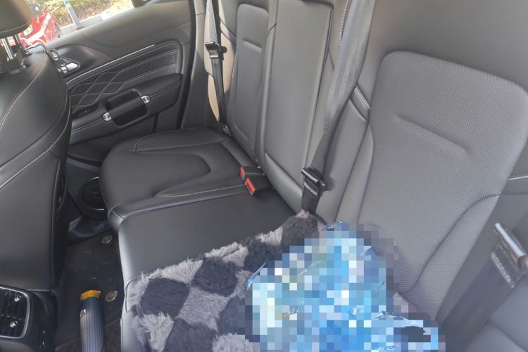 Used Tank 300 New Energy 2025 Hi4-T